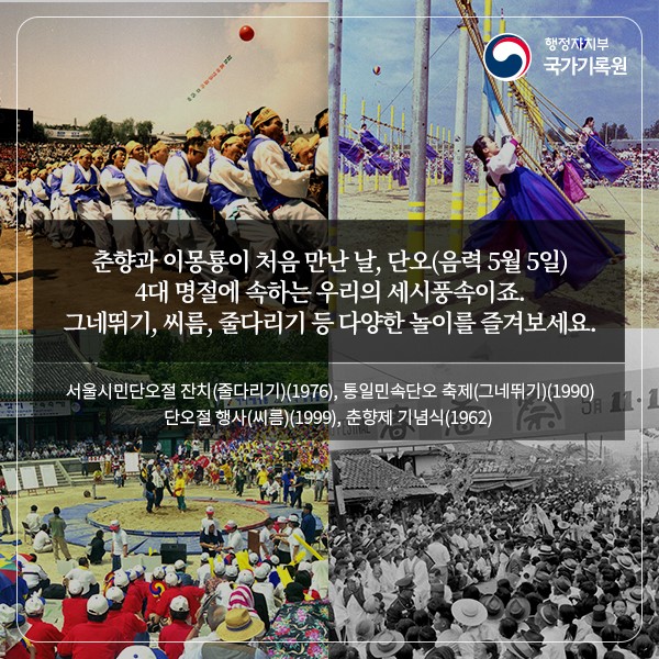 신록의 향연 속에 피어나는 사랑과 감사의 기록