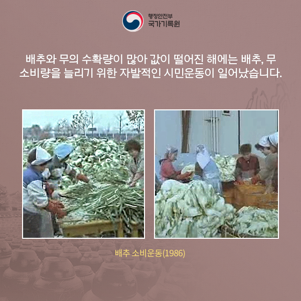 기록으로 보는 그 시절 김장 풍경