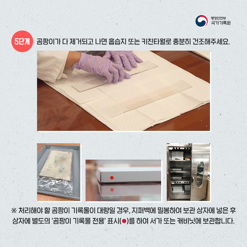 곰팡이 피해 종이기록물 취급방법