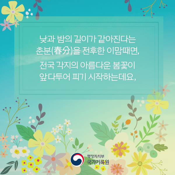 기록으로 보는 봄 풍경