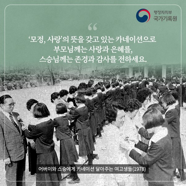 신록의 향연 속에 피어나는 사랑과 감사의 기록