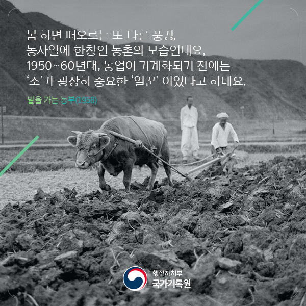 기록으로 보는 봄 풍경