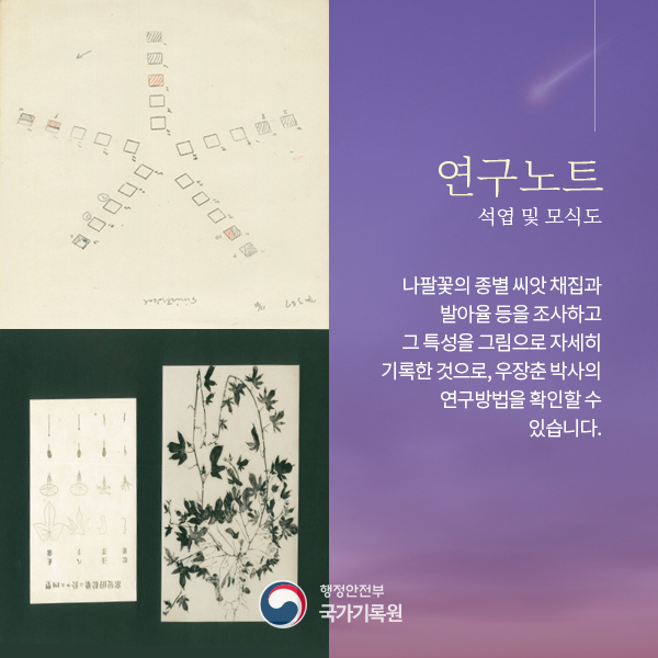 80년 만에 빛을 본 세계적 육종학자, 故 우장춘 박사의 역사적 유품