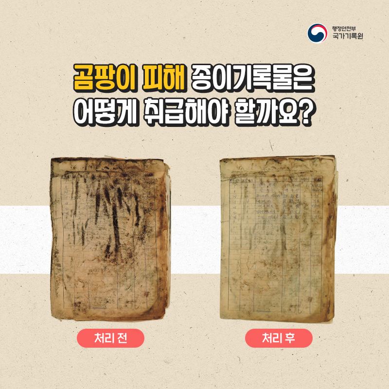 곰팡이 피해 종이기록물 취급방법